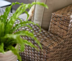 Broyhill Eagle Brooke All-Weather Wicker Swivel Cushioned Patio Glider -Household Items Sale 810452032 810452033 810496528 1