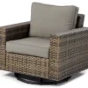 Broyhill Eagle Brooke All-Weather Wicker Swivel Cushioned Patio Glider 1 Broyhill Eagle Brooke All-Weather Wicker Swivel Cushioned Patio Glider -Household Items Sale 810496528