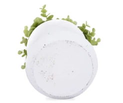 Boxwood Plant In White Cement Pot -Household Items Sale 810503202 3