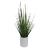 Onion Grass In Ceramic Pot 1 Onion Grass In Ceramic Pot -Household Items Sale 810503207