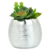 Succulents In Silver Metal Pot -Household Items Sale 810503231