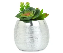 Succulents In Silver Metal Pot