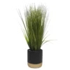 Grass In Black & Gold Ceramic Pot 2 Grass In Black & Gold Ceramic Pot -Household Items Sale 810503244