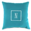 "N" Monogram Indoor/Outdoor Throw Pillow