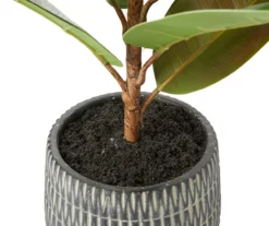 Rubber Plant In Carved Cement Pot 6 Rubber Plant In Carved Cement Pot -Household Items Sale 810538792 1