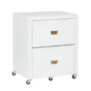 Kari White 2-Drawer Rolling Filing Cabinet -Household Items Sale 810543247 1