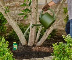 Tree & Shrub Fruit Tree Spray, 16 Oz. 7 Tree & Shrub Fruit Tree Spray, 16 Oz. -Household Items Sale 810543540 2