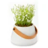 White Artificial Floral Arrangement In Ceramic Pot With Handle 2 White Artificial Floral Arrangement In Ceramic Pot With Handle -Household Items Sale 810544589