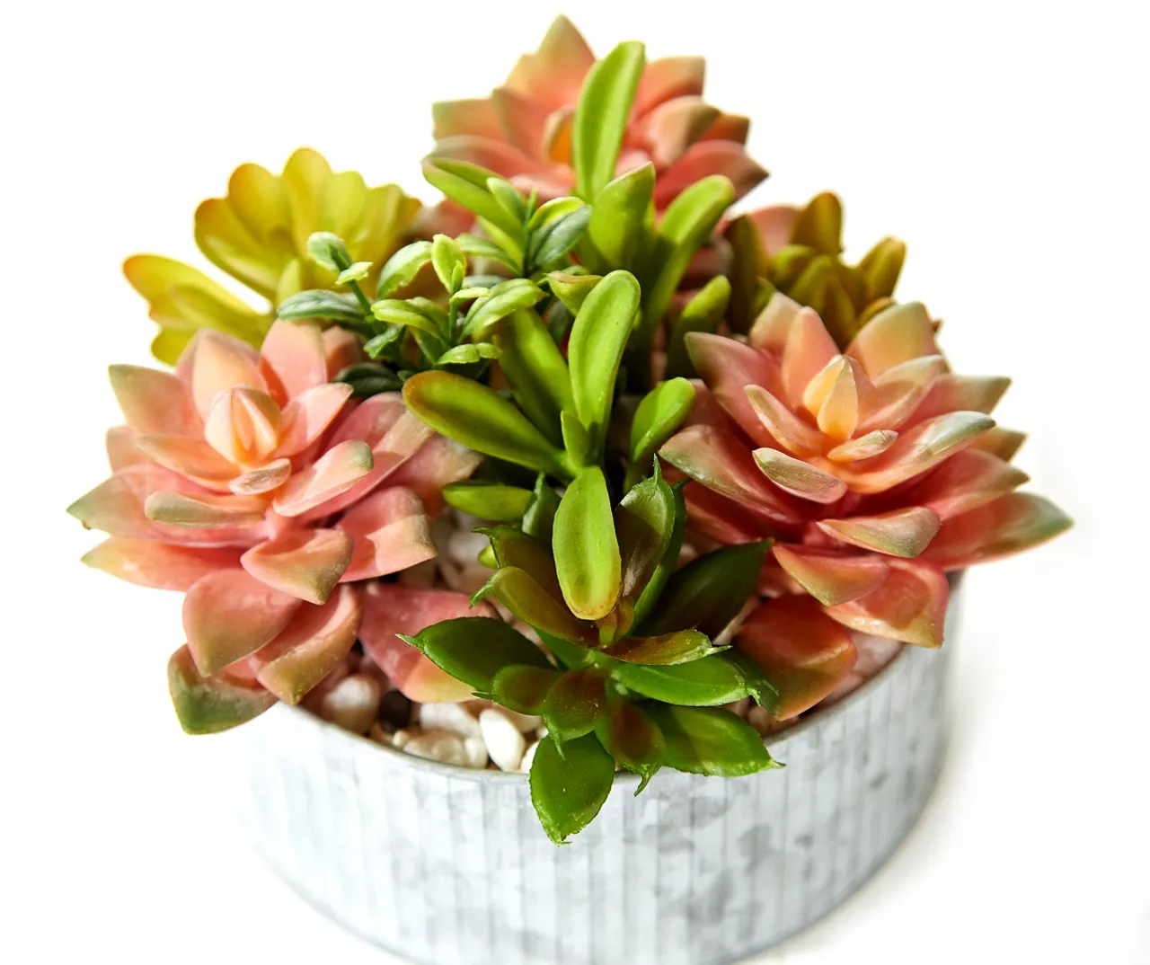 Green & Pink Succulent Arrangement in Galvanized Metal Pot 4 Green & Pink Succulent Arrangement in Galvanized Metal Pot - Image 2