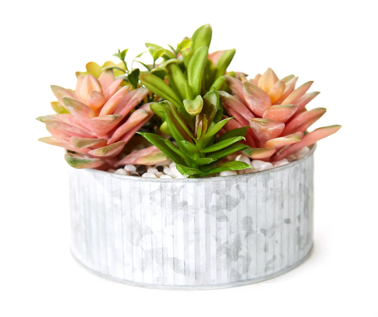 Green & Pink Succulent Arrangement in Galvanized Metal Pot 3 Green & Pink Succulent Arrangement in Galvanized Metal Pot