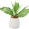 Green Artificial Leafy Arrangement With White Ridged Ceramic Pot 2 Green Artificial Leafy Arrangement With White Ridged Ceramic Pot -Household Items Sale 810561038