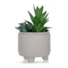Artificial Succulent Arrangement In Gray Ribbed Footed Pot -Household Items Sale 810587202 A0
