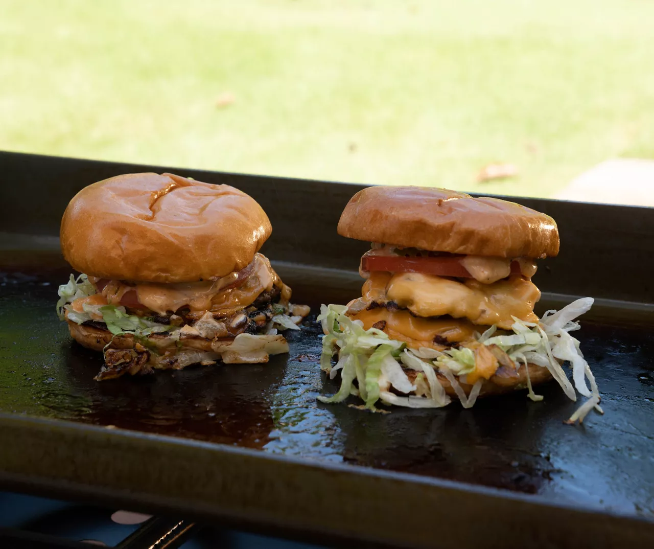 2-Burner Portable Gas Griddle 10 2-Burner Portable Gas Griddle - Image 8