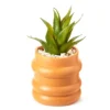 Wild Sedona Artificial Succulent In Orange Ribbed Cement Pot 2 Wild Sedona Artificial Succulent In Orange Ribbed Cement Pot -Household Items Sale 810601628 A0 1