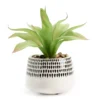 Artificial Succulent In Black Teardrop Pattern Ceramic Planter -Household Items Sale 810609847 A0