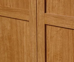 Sauder 2-Door Storage Cabinet -Household Items Sale 810610206 A0 6