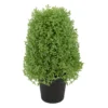 15" Boxwood Cone Topiary In Plastic Pot -Household Items Sale 810616789 A0 1