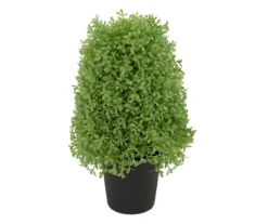 15" Boxwood Cone Topiary In Plastic Pot