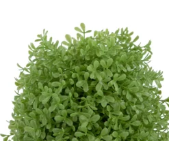 15" Boxwood Cone Topiary In Plastic Pot -Household Items Sale 810616789 A0 3