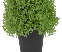 15" Boxwood Cone Topiary In Plastic Pot -Household Items Sale 810616789 A0 5